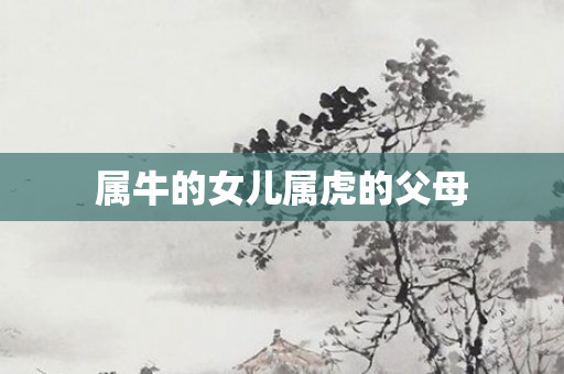 属牛的女儿属虎的父母