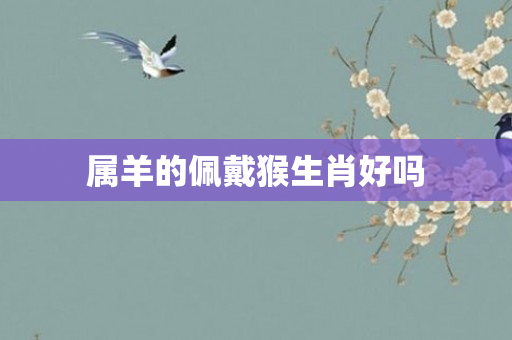 属羊的佩戴猴生肖好吗