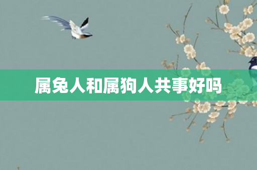 属兔人和属狗人共事好吗