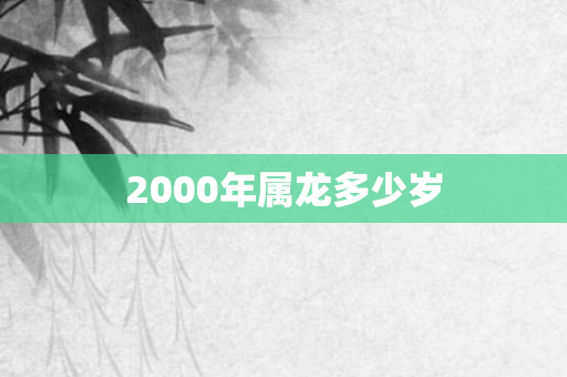 2000年属龙多少岁