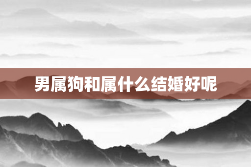 男属狗和属什么结婚好呢