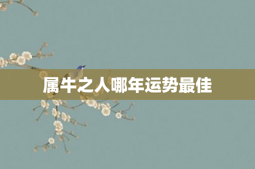属牛之人哪年运势更佳