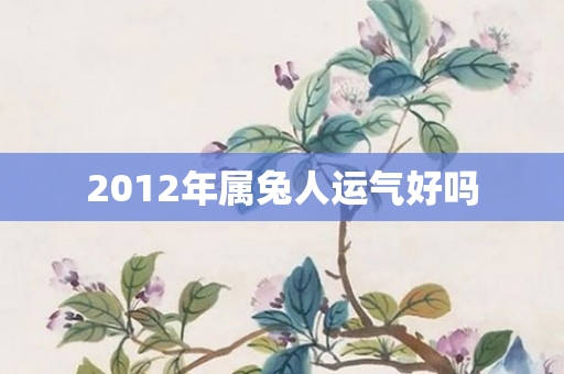2012年属兔人运气好吗