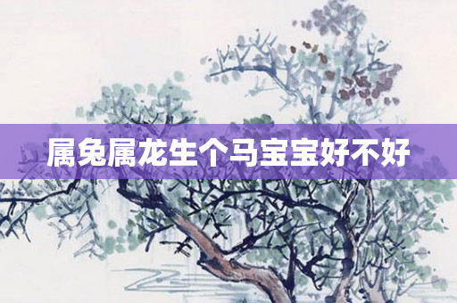 属兔属龙生个马宝宝好不好