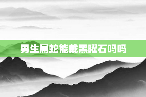 男生属蛇能戴黑曜石吗吗