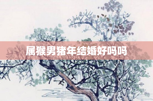 属猴男猪年结婚好吗吗