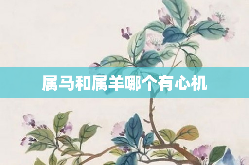 属马和属羊哪个有心机