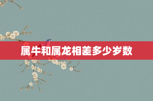 属牛和属龙相差多少岁数