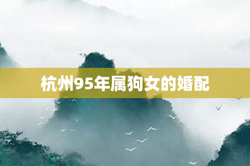 杭州95年属狗女的婚配