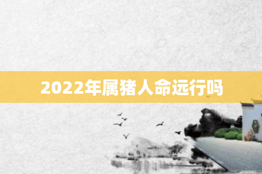 2022年属猪人命远行吗