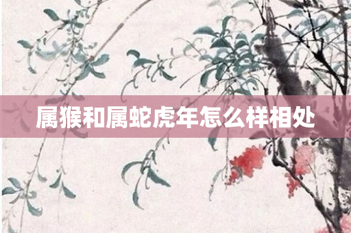 属猴和属蛇虎年怎么样相处