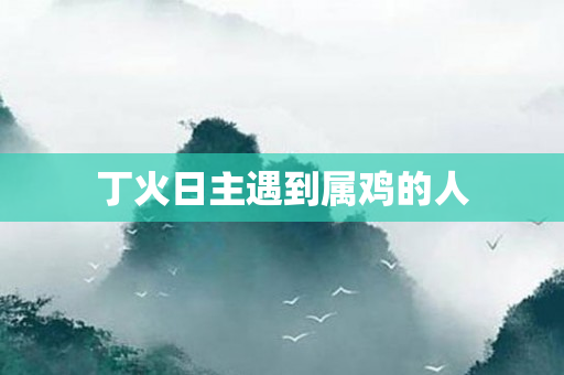 丁火日主遇到属鸡的人