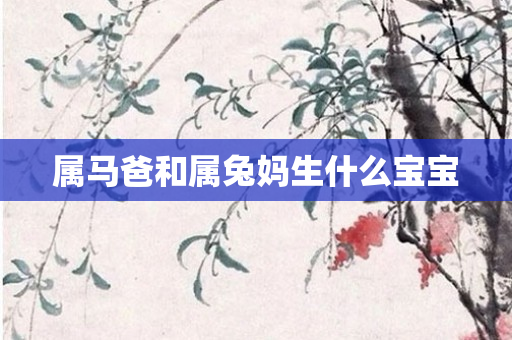 属马爸和属兔妈生什么宝宝