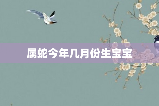 属蛇今年几月份生宝宝