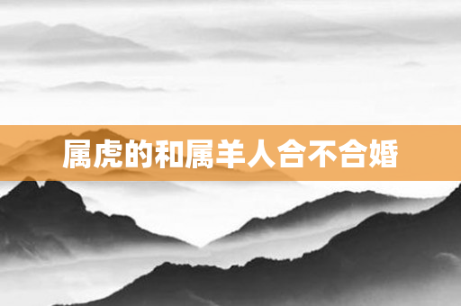 属虎的和属羊人合不合婚