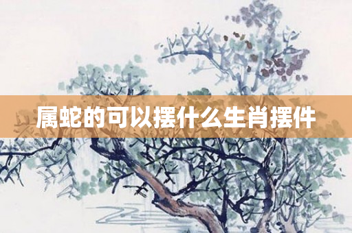 属蛇的可以摆什么生肖摆件