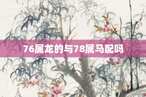 76属龙的与78属马配吗