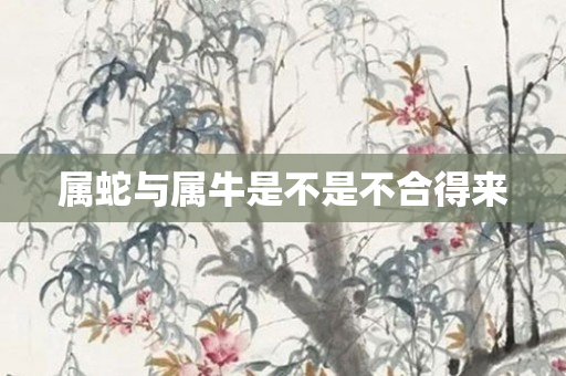 属蛇与属牛是不是不合得来