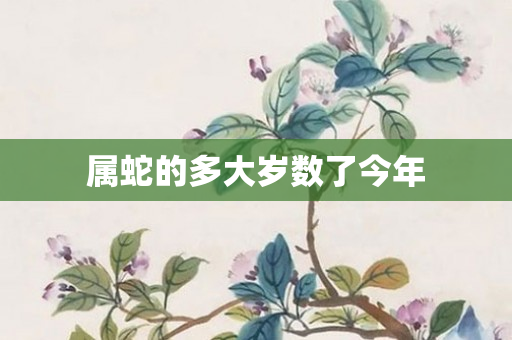 属蛇的多大岁数了今年