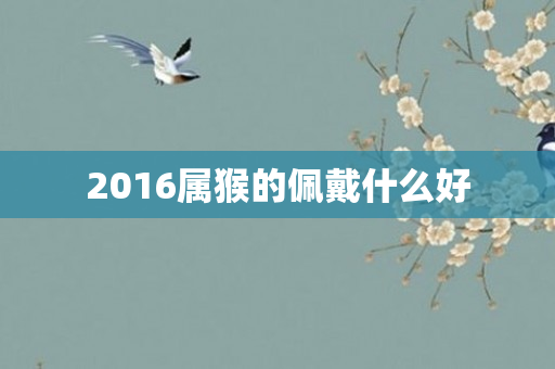 2016属猴的佩戴什么好