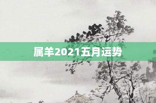 属羊2021五月运势