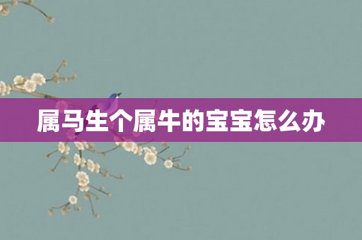 属马生个属牛的宝宝怎么办