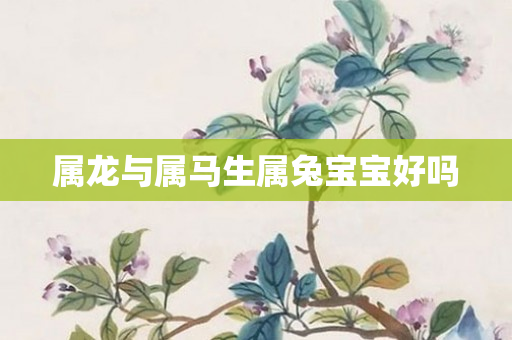 属龙与属马生属兔宝宝好吗