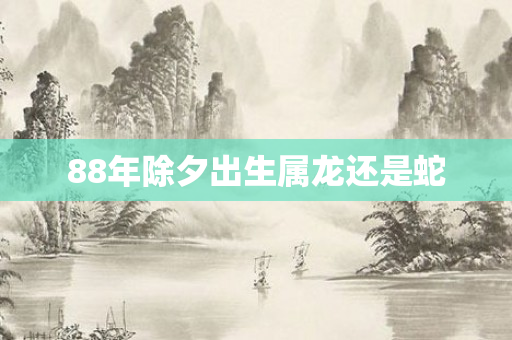 88年除夕出生属龙还是蛇