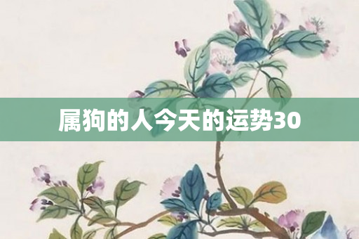 属狗的人今天的运势30
