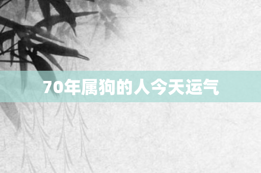 70年属狗的人今天运气