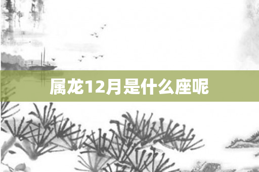 属龙12月是什么座呢