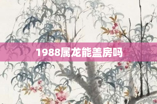 1988属龙能盖房吗