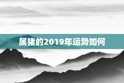 属猪的2019年运势如何