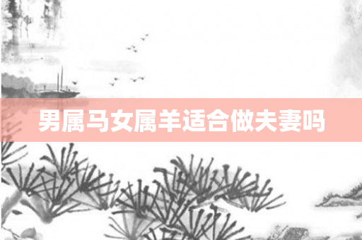 男属马女属羊适合做夫妻吗