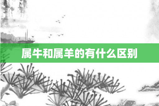 属牛和属羊的有什么区别