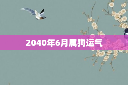 2040年6月属狗运气
