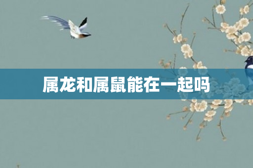 属龙和属鼠能在一起吗