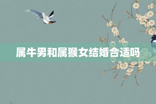 属牛男和属猴女结婚合适吗