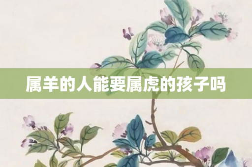 属羊的人能要属虎的孩子吗