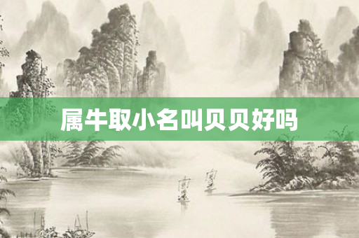 属牛取小名叫贝贝好吗