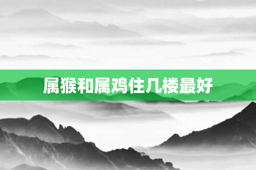 属猴和属鸡住几楼更好