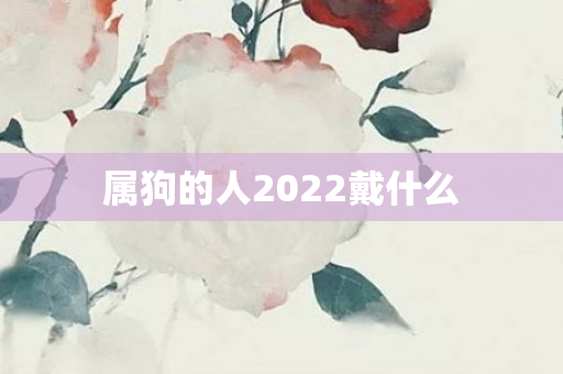 属狗的人2022戴什么