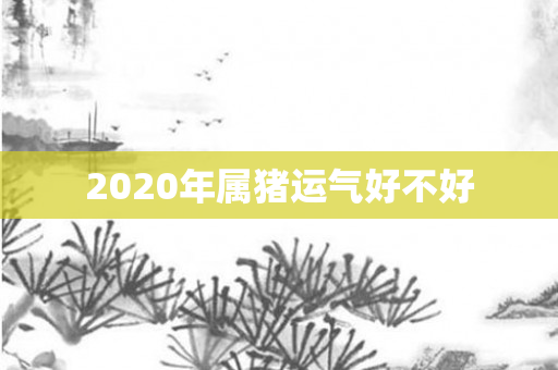 2020年属猪运气好不好
