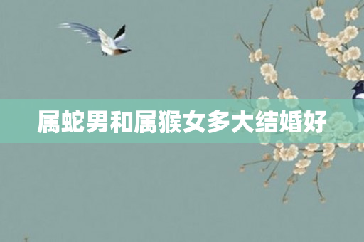 属蛇男和属猴女多大结婚好
