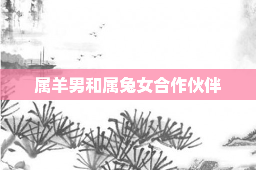属羊男和属兔女合作伙伴
