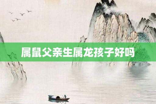属鼠父亲生属龙孩子好吗