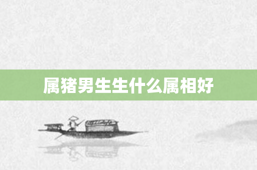 属猪男生生什么属相好