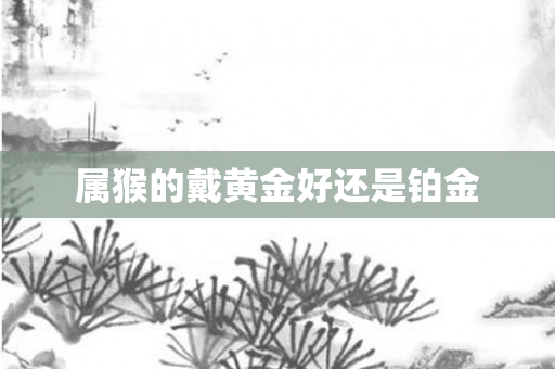 属猴的戴黄金好还是铂金