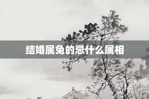 结婚属兔的忌什么属相
