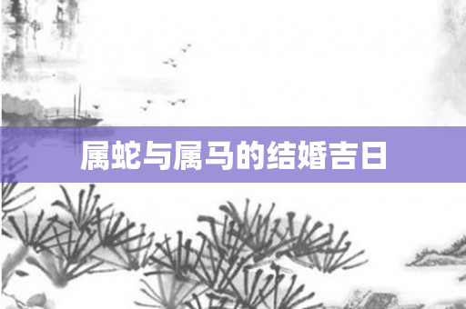 属蛇与属马的结婚吉日